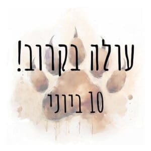 מנוי גורים (ללא התחייבות!)